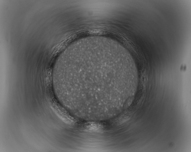 X0000115070601200911171132