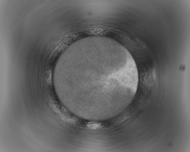 X0000115070602200911171132