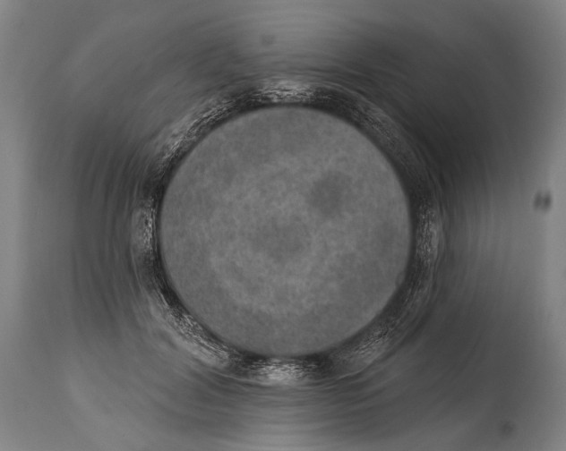 X0000115070604200911171132