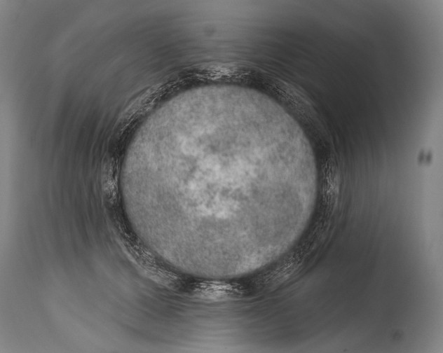X0000115070607200911171132