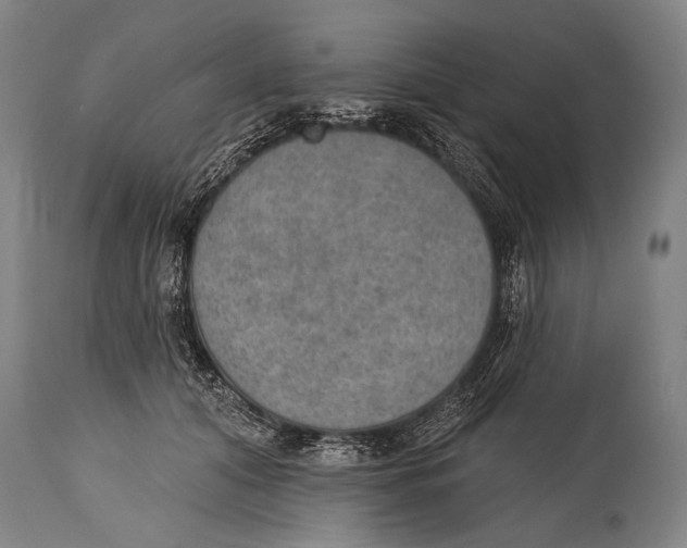 X0000115070608200911171132