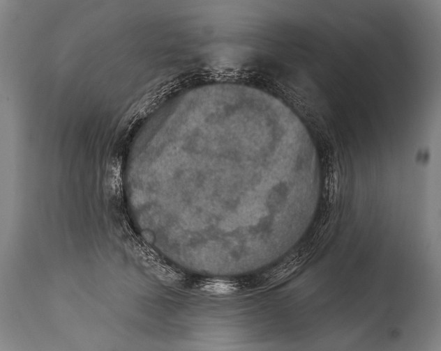 X0000115070610200911171132