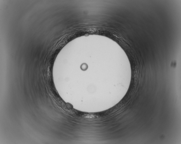 X0000115070611200911171132