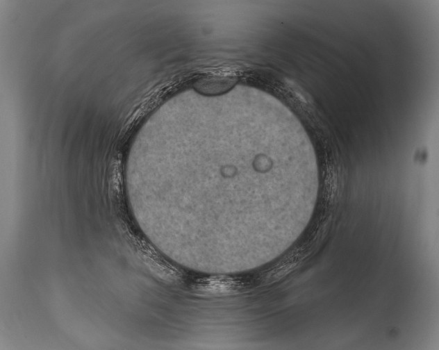 X0000115070612200911171132