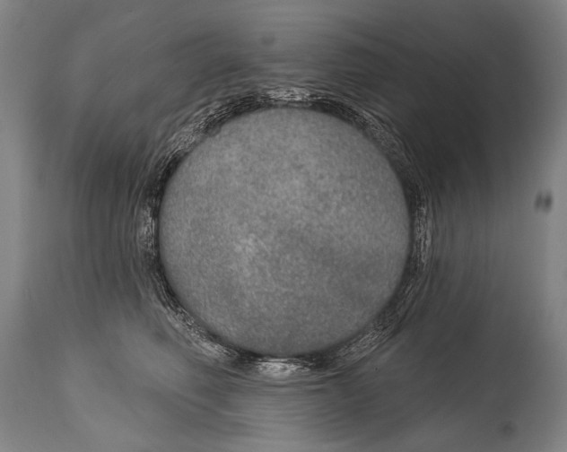 X0000115070614200911171132