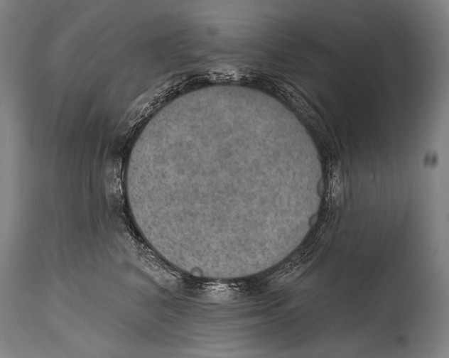 X0000115070616200911171132