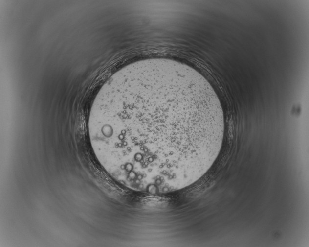 X0000115070617200911171131