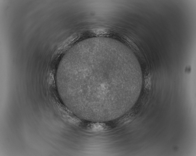 X0000115070618200911171131