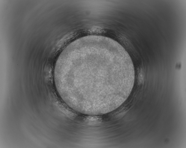 X0000115070619200911171131
