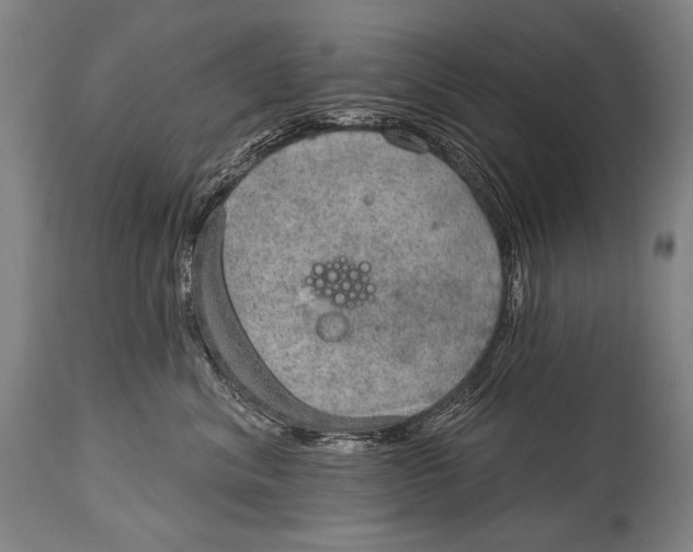 X0000115070620200911171131