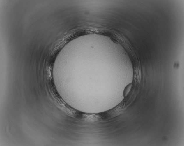 X0000115070621200911171131