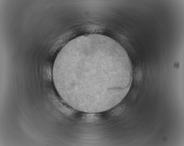X0000115070622200911171131