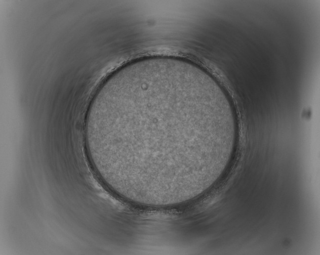 X0000115070625200911171131