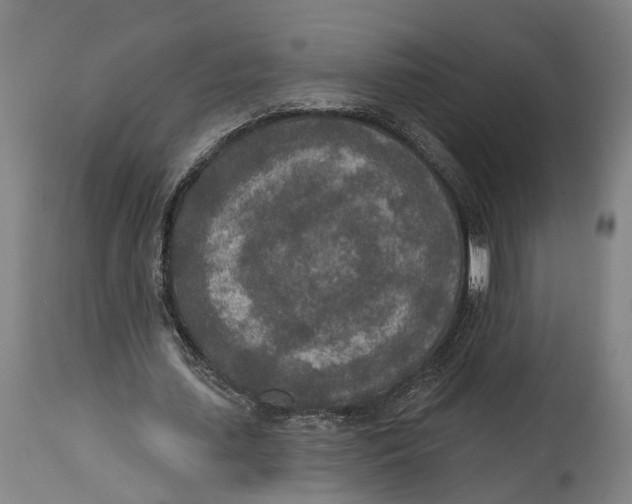 X0000115070627200911171131