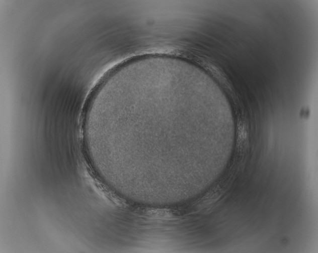 X0000115070628200911171131