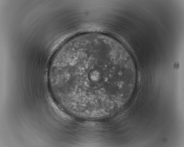 X0000115070629200911171131