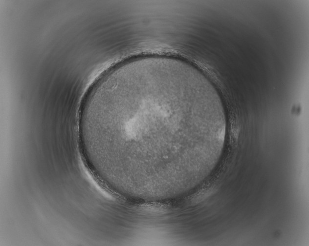 X0000115070630200911171131