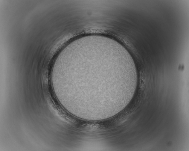 X0000115070631200911171131