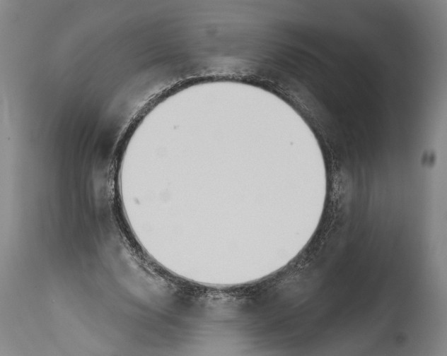 X0000115070632200911171131