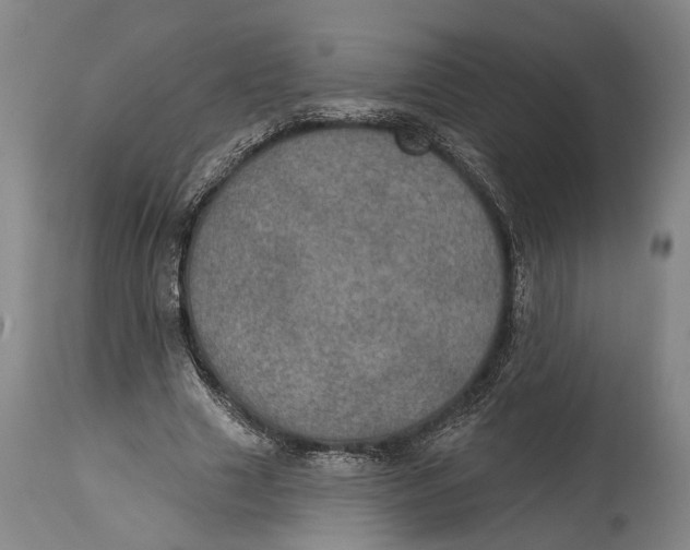 X0000115070633200911171131