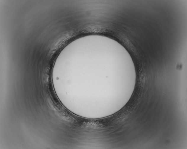 X0000115070635200911171131