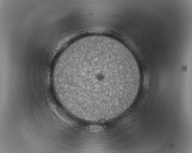 X0000115070636200911171131