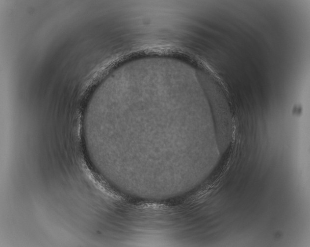 X0000115070637200911171131