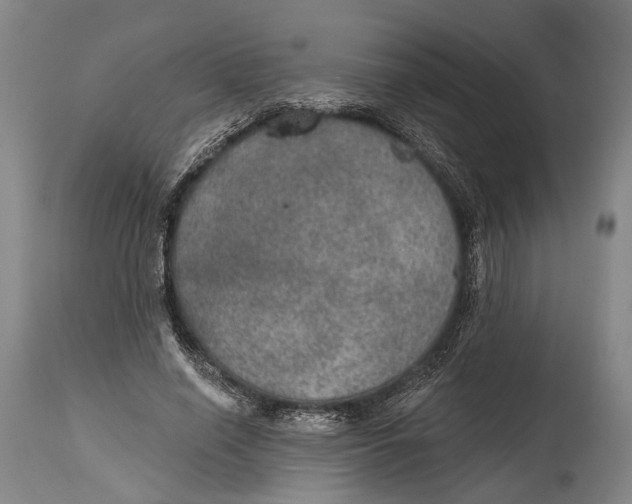 X0000115070638200911171131