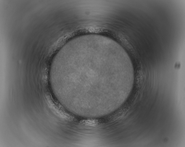 X0000115070639200911171131