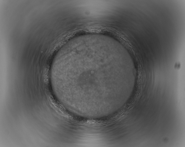 X0000115070641200911171131