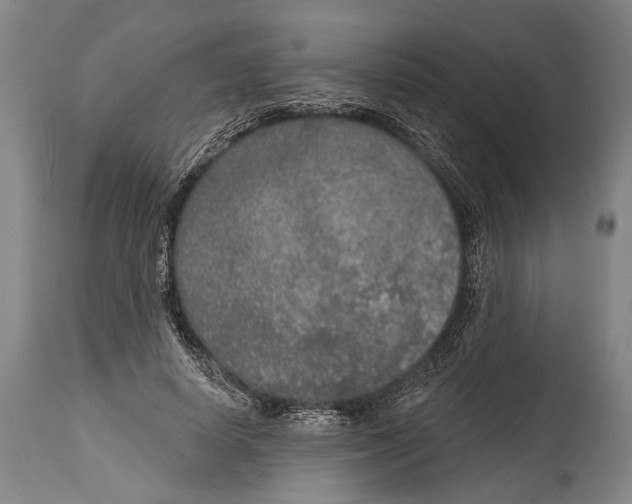 X0000115070642200911171131