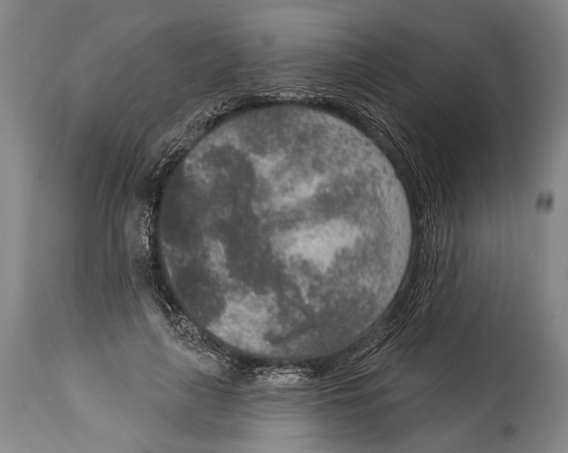 X0000115070643200911171131