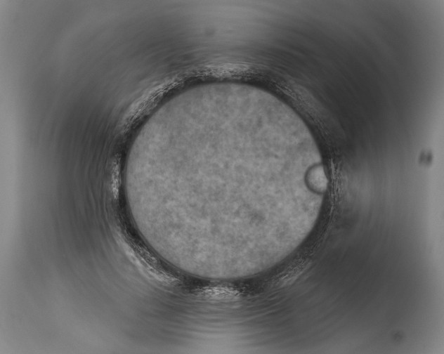 X0000115070644200911171131