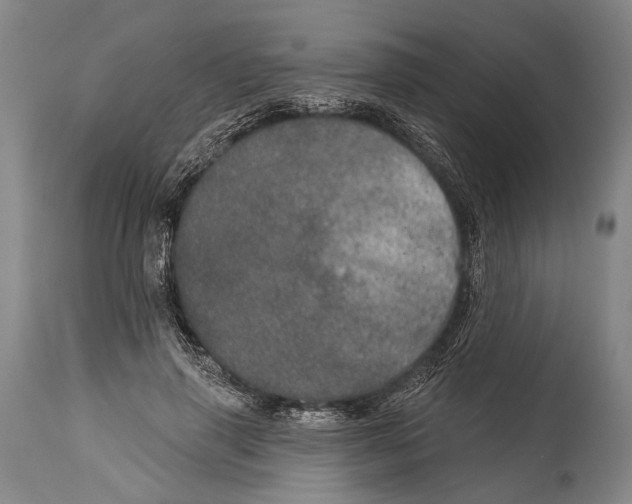 X0000115070645200911171131