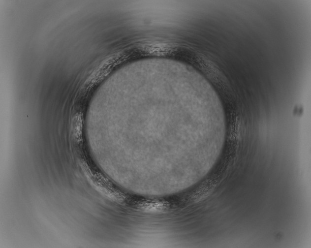 X0000115070646200911171131