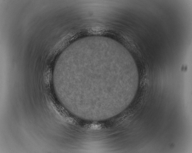 X0000115070647200911171131