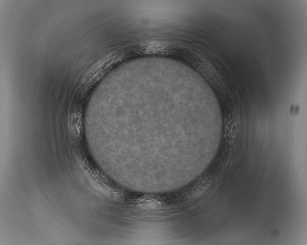 X0000115070648200911171131