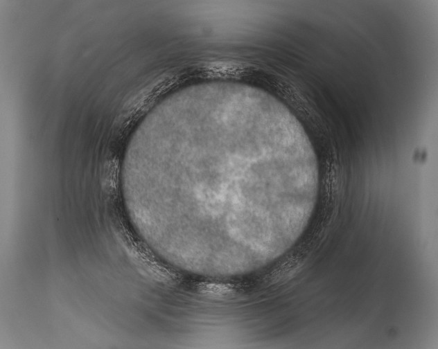 X0000115070649200911171131