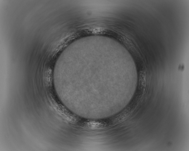 X0000115070650200911171131