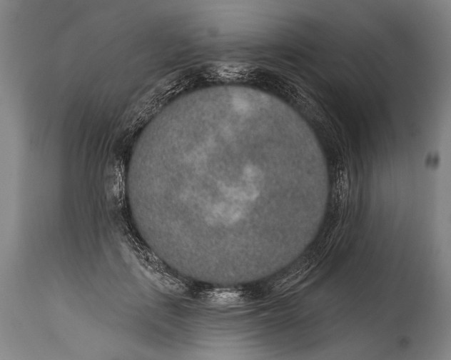 X0000115070651200911171131