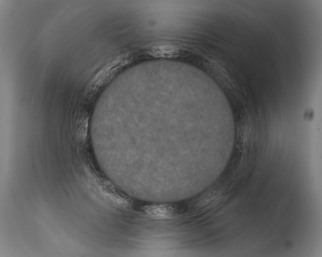 X0000115070652200911171131