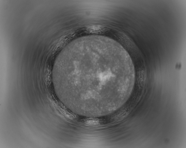 X0000115070653200911171131