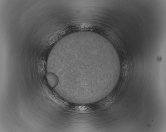 X0000115070654200911171131