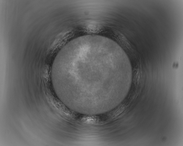 X0000115070655200911171131