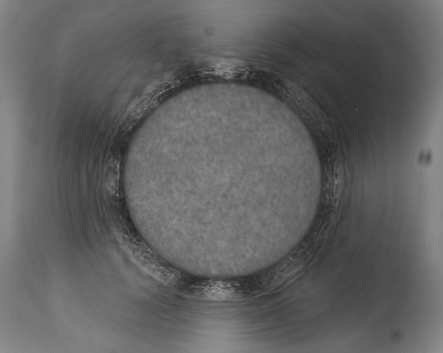 X0000115070656200911171131
