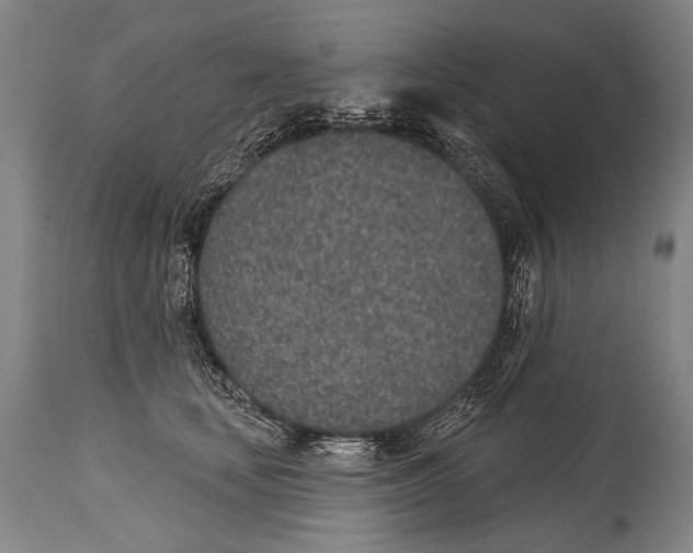 X0000115070659200911171131