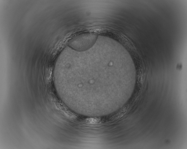 X0000115070660200911171131