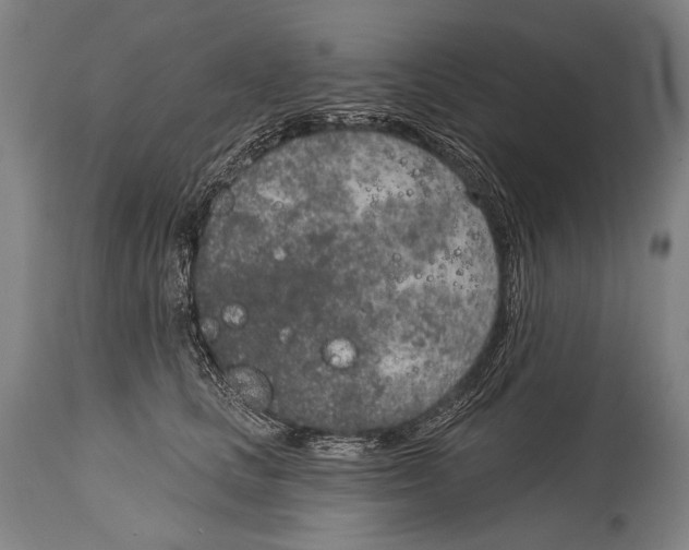 X0000115070661200911171131