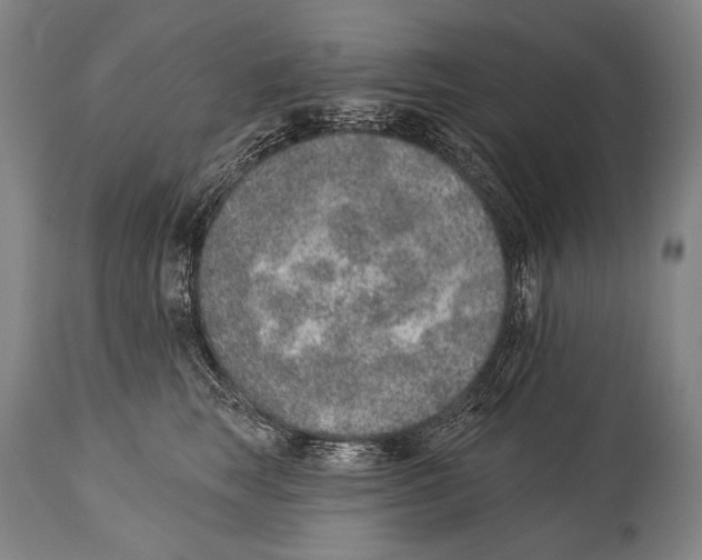 X0000115070663200911171131