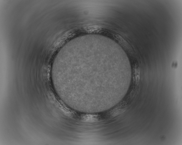 X0000115070664200911171131